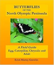 Butterflies of the North Olympic Peninsula: A Field Guide - Egg, Caterpillar, Chrysalis and Adult