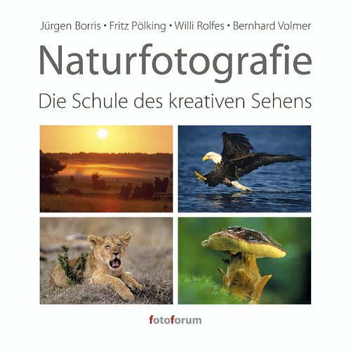 City Travel Guides Discounted  Bücher : Naturfotografie: Die Schule des kreativen Sehens