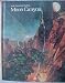 Books : Moon Canyon Grade 8 (Scott Foresman Reading)