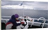 16 Inch Box Canvas Print (40cm) ANT1195-10 from Arctic Photo