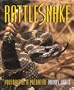 Rattlesnake - Portrait of a Predator
