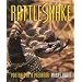Rattlesnake - Portrait of a Predator