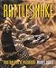 Rattlesnake - Portrait of a Predator