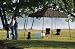 ShelterLogic 3-in-1 Pop-Up Canopy, Screen Room and Tent Insert - 10Ft. x 10Ft., Blue, Model# 22803