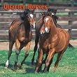 Quarter Horses 2008 Square Wall Calendar (German, French, Spanish and English Edition)