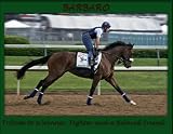 Linda Shier Barbaro Tribute 8 x 10 Glossy Print