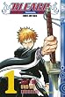 Bleach 01