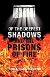 Of the deepest shadows & the prisons of fire
