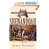 Shenandoah (The Civl War Battle Series, Book 8)