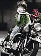 Can You Resist? - Mini Photography Poster (Artist: Kim Anderson) (Size: 16" x 20")