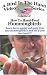 How To Hand-Feed Hummingbirds [VHS]