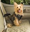 Solvit 62294 Pet Vehicle Safety Harness, Small