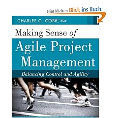 Making Sense of Agile Project Management: Balancing Control and Agility