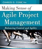 Making Sense of Agile Project Management: Balancing Control and Agility