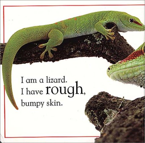 Wild Animals (Touch and Feel) under Biological Sciences in The Books Store