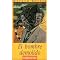 Sci-Fi Books in Spanish Translation