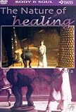 Nature Of Healing - Vol. 2