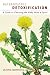 Book Naturopathic Detoxification: A Guide to Cleansing the Body, Mind & Spirit
