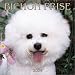 Bichon Frise 2004 Calendar