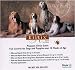 Pet Supplies : Kiltix Spot On - 4 pk