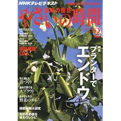 NHK 趣味の園芸 やさいの時間 2012年 02月号 [雑誌]