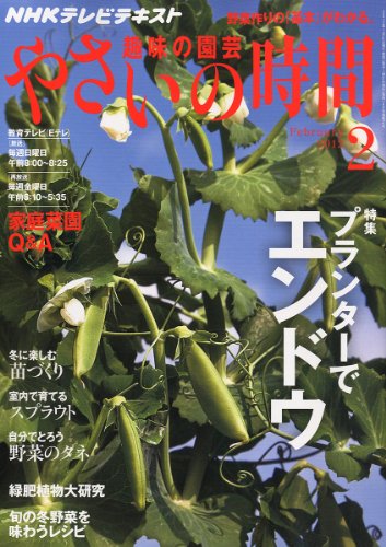 NHK 趣味の園芸 やさいの時間 2012年 02月号 [雑誌]