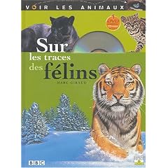 Sur les traces des f�lins
