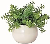 ���킢���܂��邢���G�}�C���e���A�O���[���@�t�@���V�F�C�v