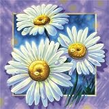 Eigenschaften Schipper 9250 410 / Schipper 9250 410 - Malen nach Zahlen Margeriten; 40x40cm
