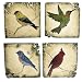 2-in-1 Glass Bird Mosaic Stones 4 Piece Set - Stepping Stones & Wall Art 11.5