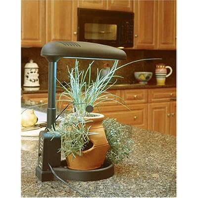 Indoor Grow Light