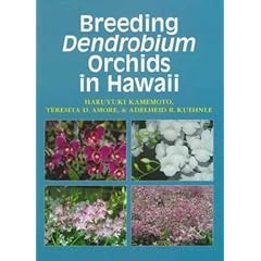 Breeding Dendrobiums in Hawaii