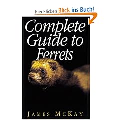 Complete Guide to Ferrets