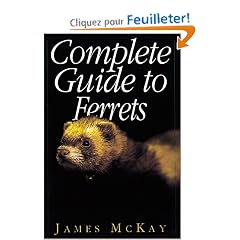 Complete Guide to Ferrets