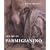 The Art of Parmigianino