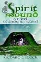 Spirit Mound: A Novel of Ancient Ireland