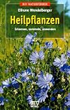 BLV Taschenb�cher, Heilpflanzen