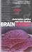 Books : Brain Trust