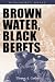 Brown Water, Black Berets: Coastal and Riverine Warfare in Vietnam (Bluejacket Paperback Series)