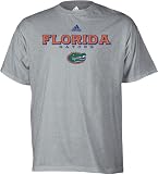 Florida Gators Grey adidas Impervious T-Shirt