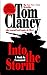 Into the Storm: A Study in Command (Commander Series)
