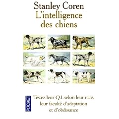 L intelligence des chiens