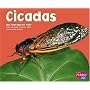 Cicadas (Pebble Plus; Bugs, Bugs, Bugs)