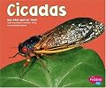 Cicadas (Pebble Plus; Bugs, Bugs, Bugs)