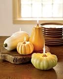 Review   / Pottery Barn Thanksgiving Gourd / Pumpkin Candles, Set of 4