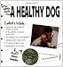 The Simple Guide to a Healthy Dog