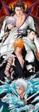 BLEACH 352�ԡ��� Those who transcend it 352-23