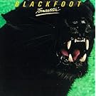 Tomcattin' | Blackfoot. Musicien