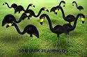 Garden Plast Black Flamingos, 10-Pack