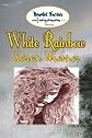 White Rainbow